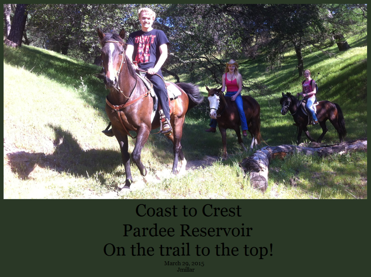 Coast to Crest Trail - Pardee Reservoir