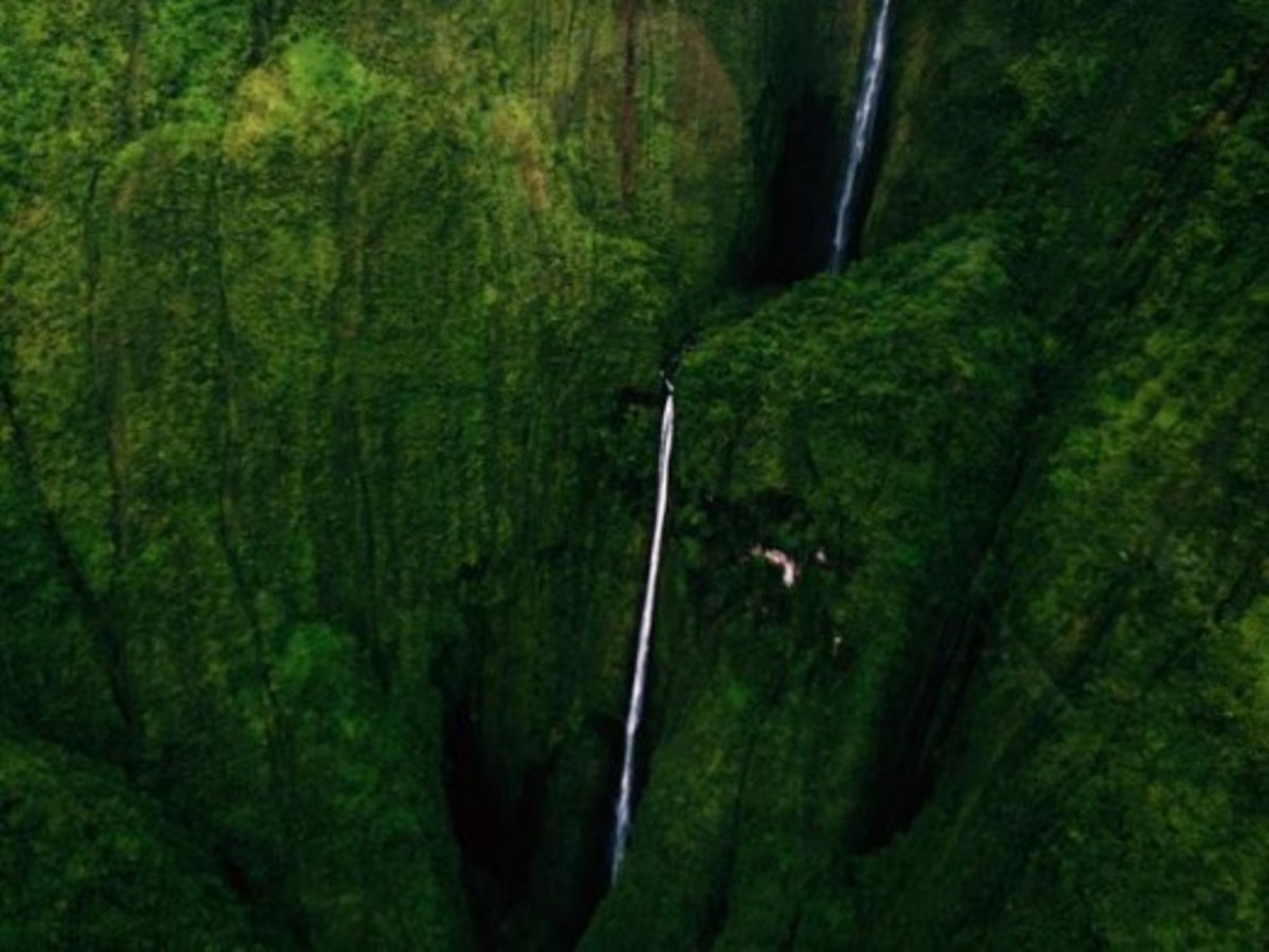 Oloʻupena Falls resides on steep volcanic coastal cliffs. Accessibility is limited to air or sea viewing. The falls start in inaccessible dense growth.
