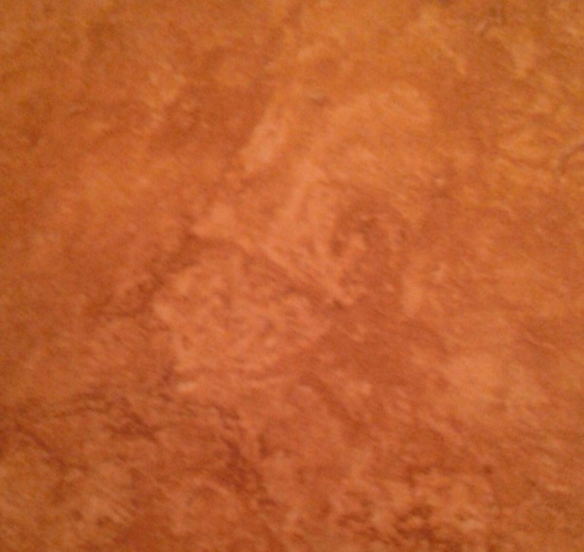 The creepy face of the Turtle Man looks up at me from my tile floor.  What do you see?
