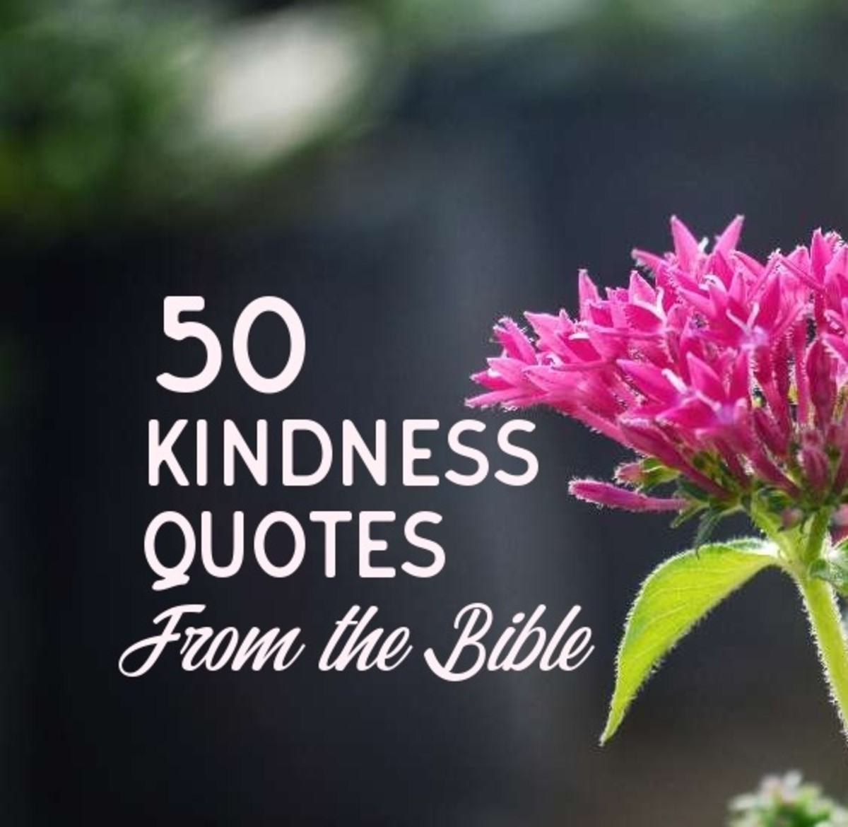bible verse about kindness kjv