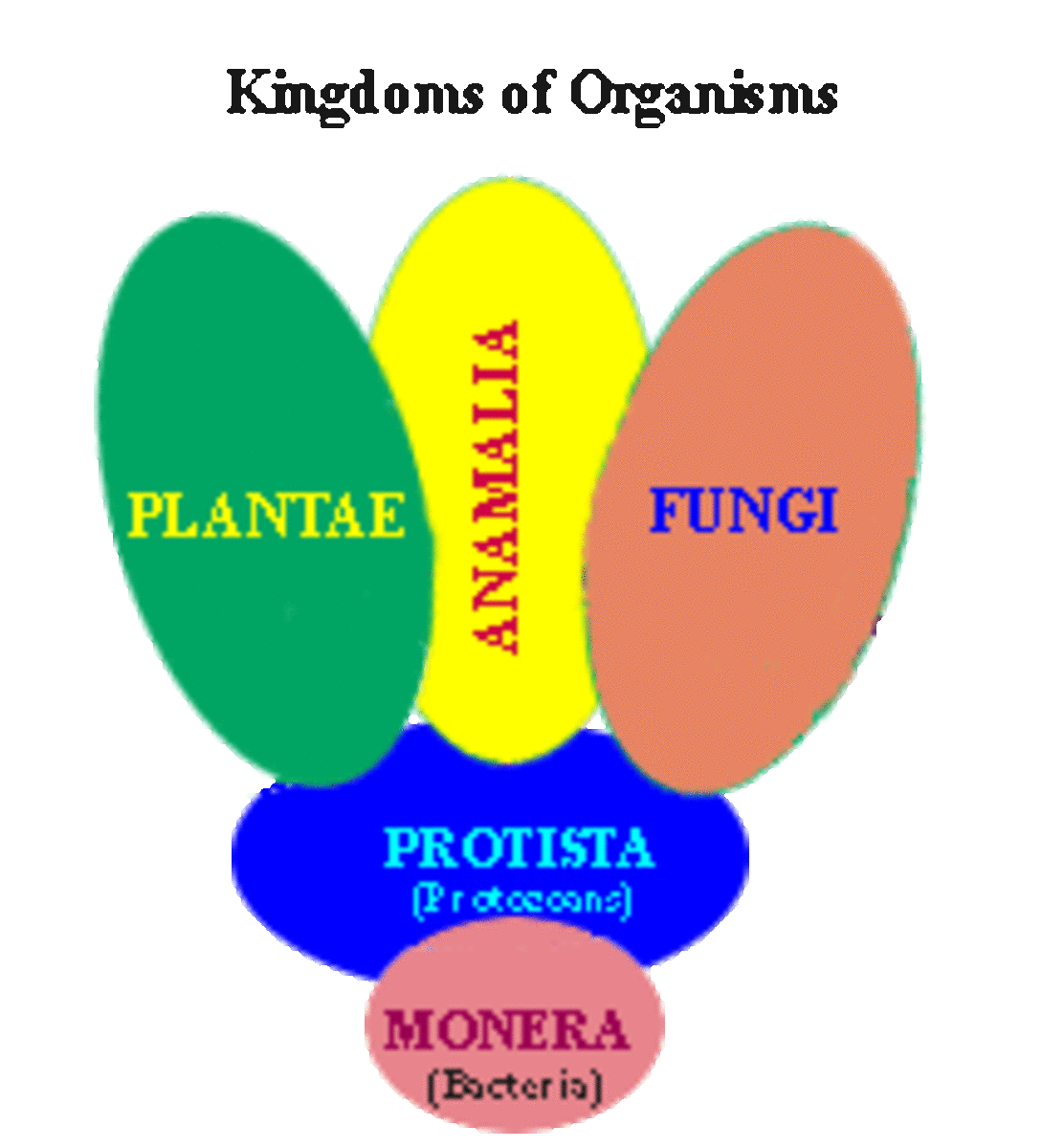 The FIVE KINGDOM classification