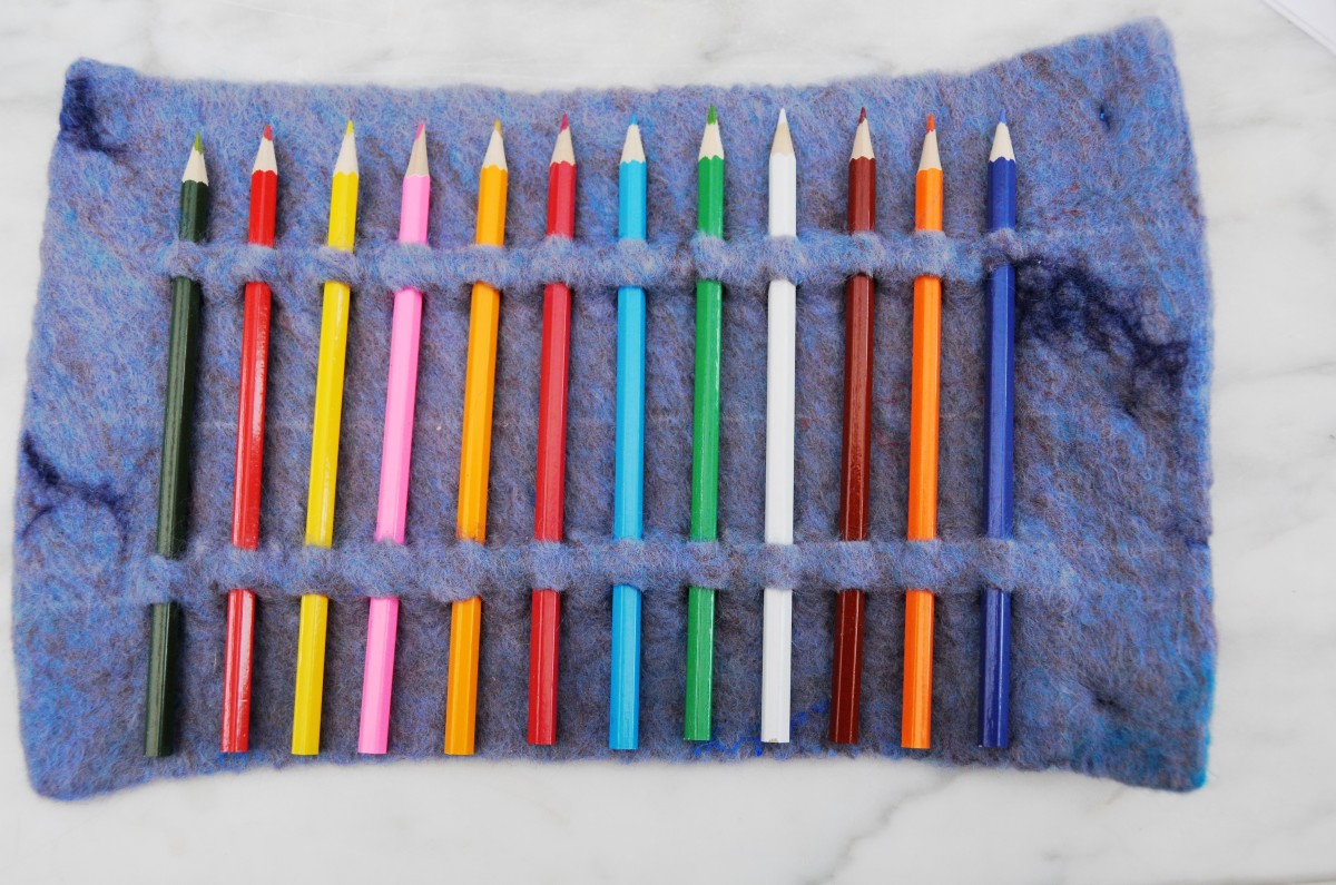 Wet Felted Pencil Pouch