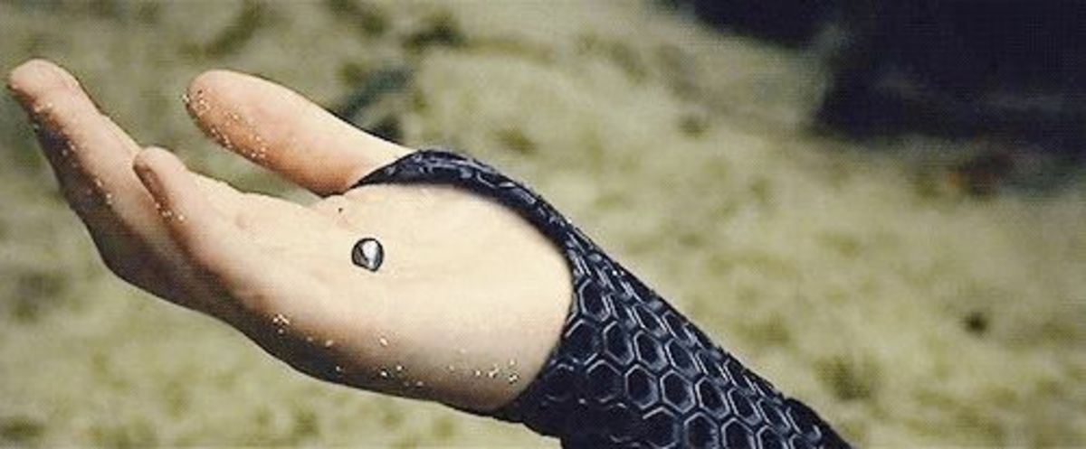 Peeta gives Kantiss a pearl in Catching Fire. Fans of the Hunger Games may enjoy a black pearl as a symbol of hope.