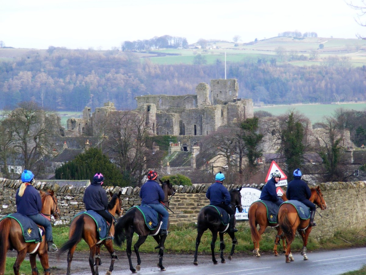 Racehorses return from the gallops above the western end of town to their respective stables