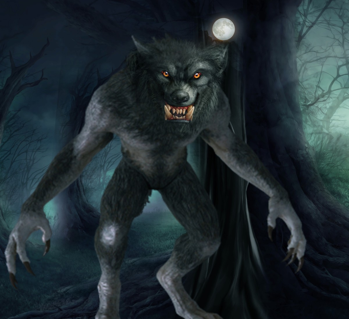 Werewolves are a widespread feature of European mythology. A werewolf is a human who is afflicted either with a curse or spell that makes them turn into a hybrid man-wolf during the full moon. Belief in werewolves developed during the Middle Ages.