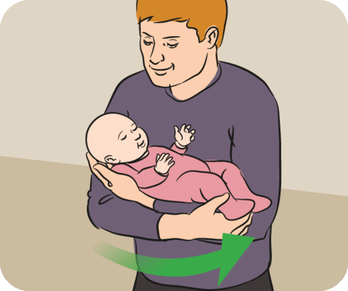 How to Hold a Baby