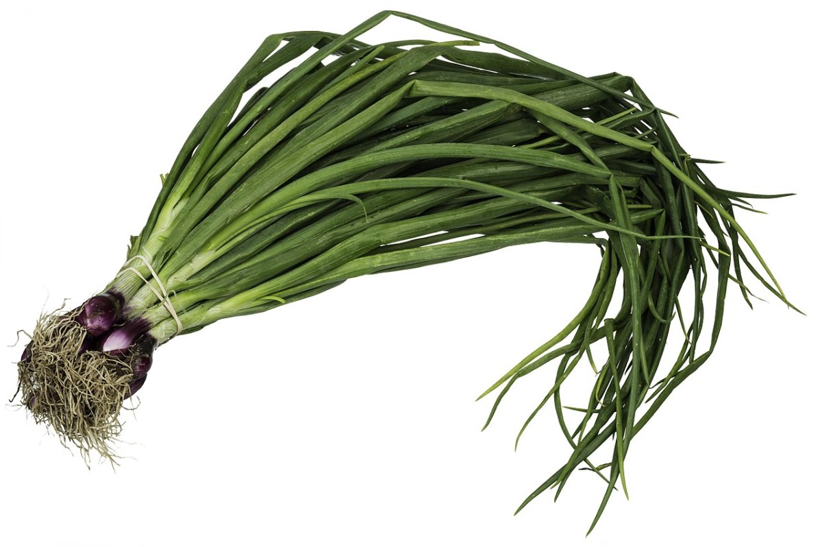 Scallions/Green Onions are part of the Amaryllis family.