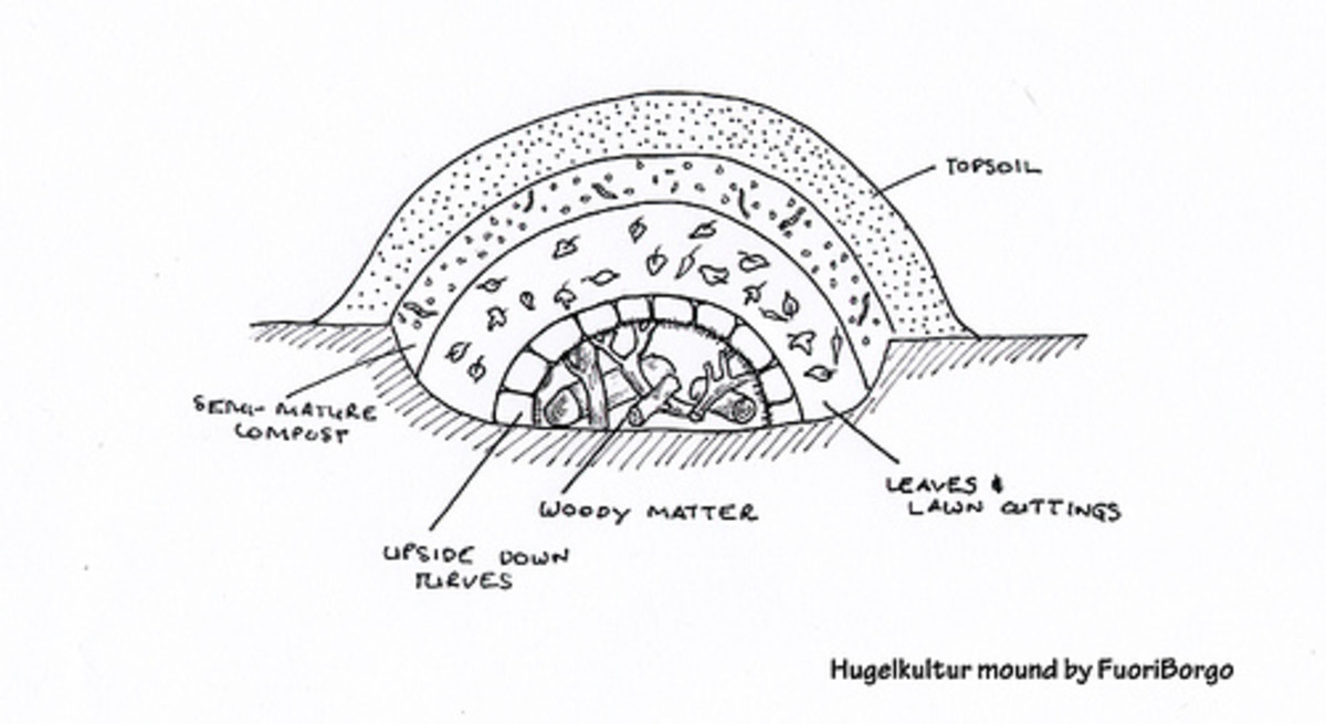 a diagram of inside a hugelkultur mound showing the different layers