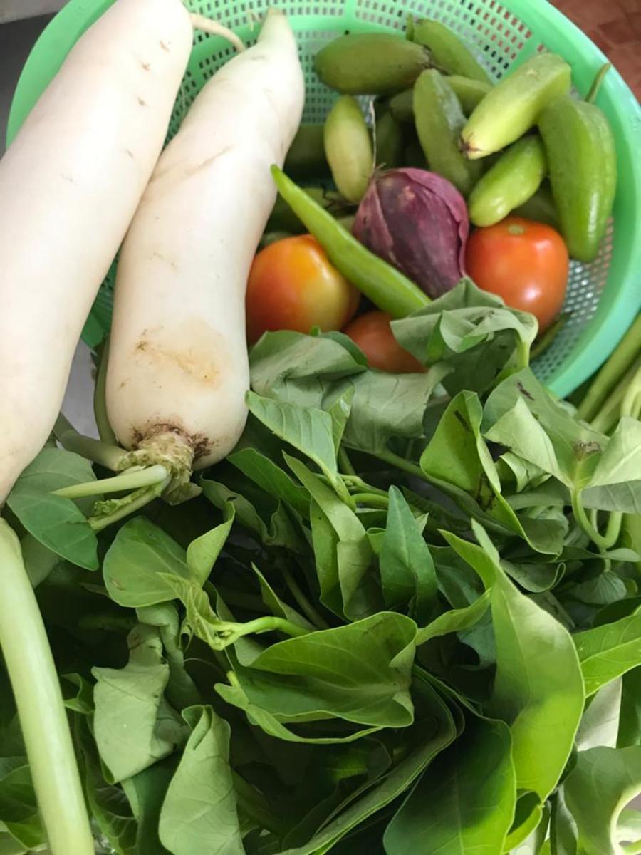 Vegetables for Sinigang: Labanos, Kangkong Leaves, Onion, Siling Haba, Tomato
