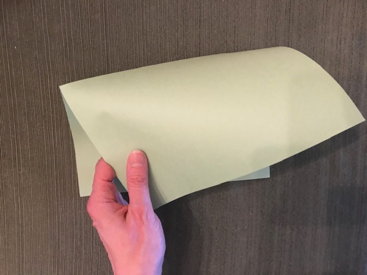 Fold the paper long ways (this example shows light green construction paper but you can use white, green or another color if desired)