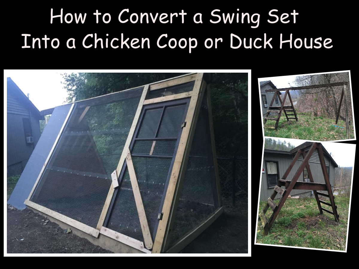 How to Convert a Swing Set Into a Chicken Coop or Duck House
