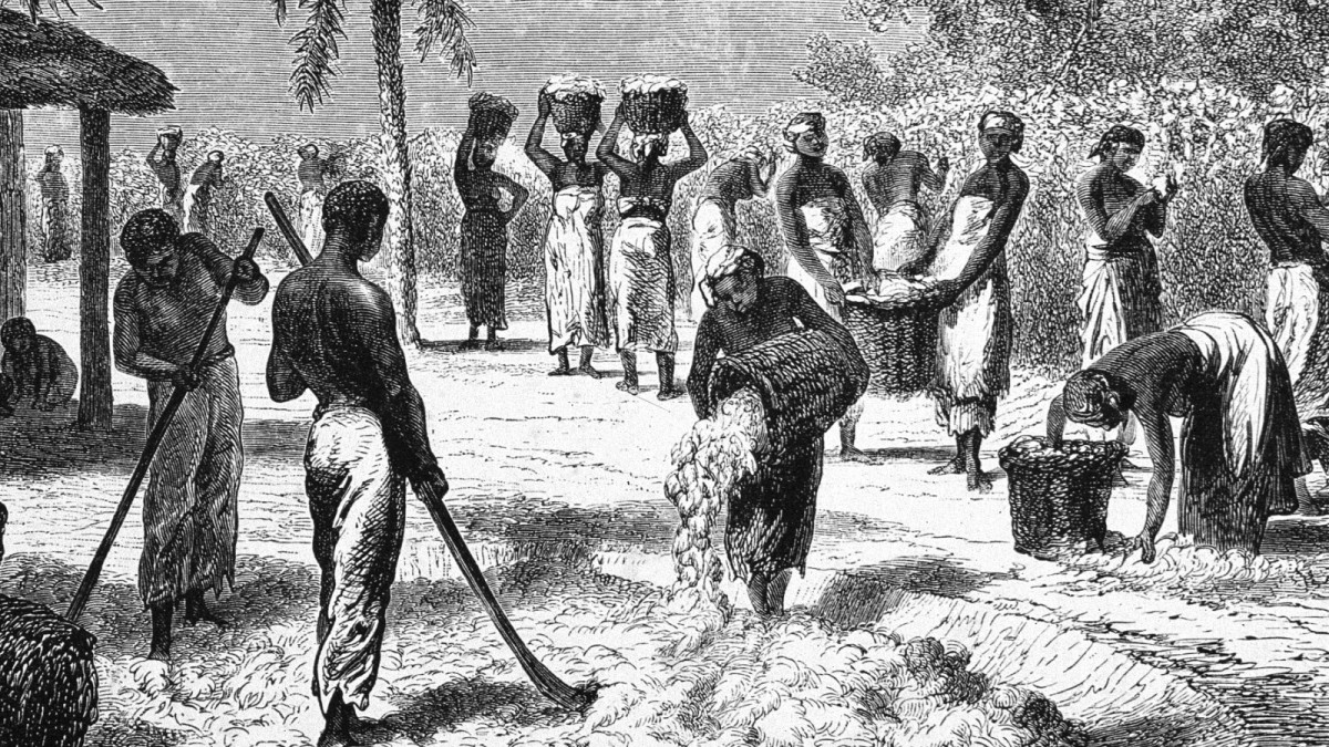 Slavery Was Preventable In United States Of America In My Opinion 