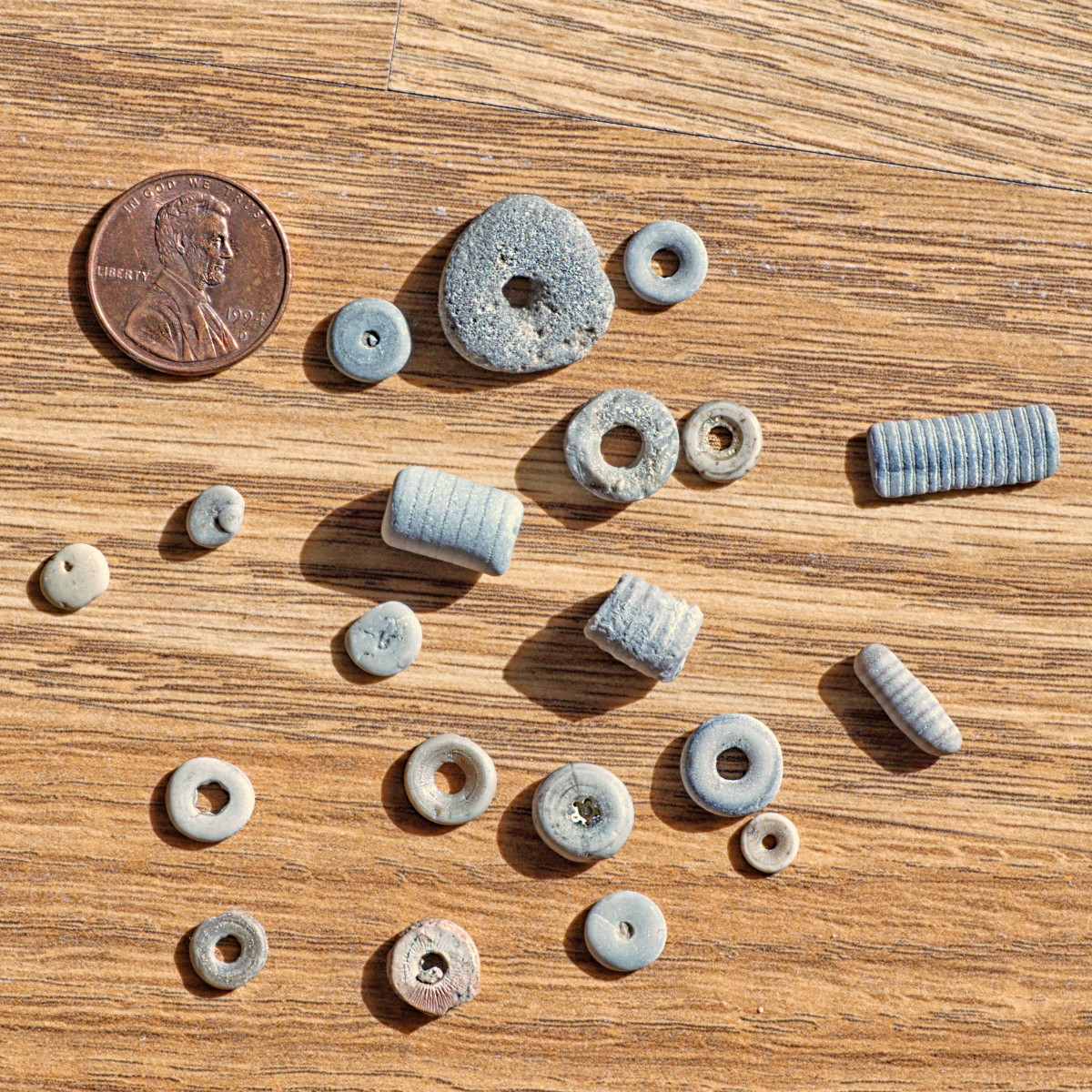 Crinoid Fossil Stems and Individual Pieces Found on Lake Michigan Beach