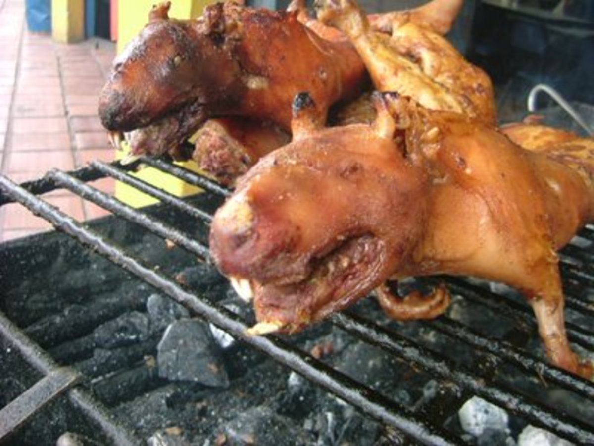 Cuy - grilled guinea pig - is a delicacy many 'gringos' have some difficulty with!
