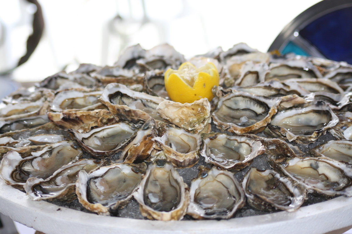 Oyster Stew Recipe With Canned Oysters - Snack Rules