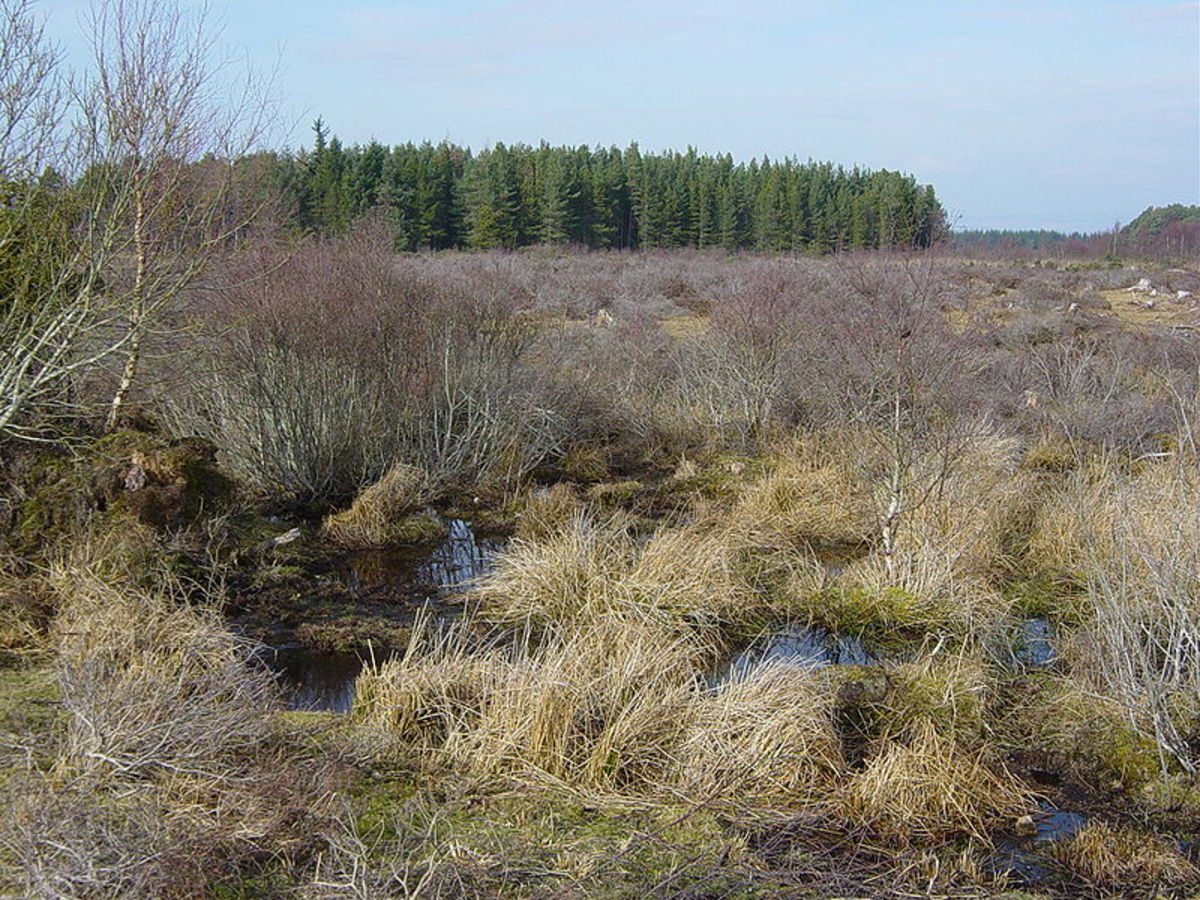 The Horror of Two Cullodens and the Highland Clearances HubPages