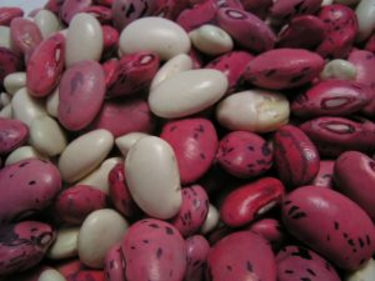How to Cook Beans With Less Gas