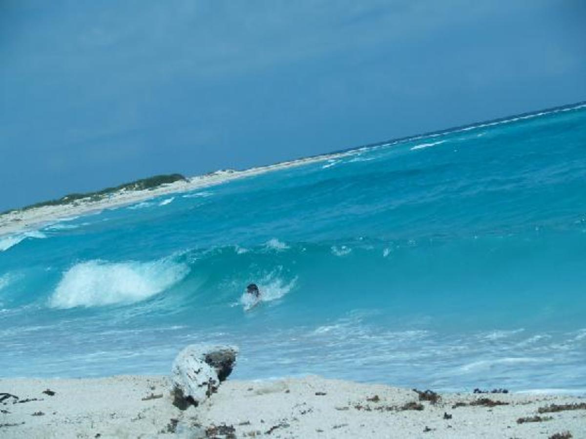 surf-aruba-surf-the-caribbean