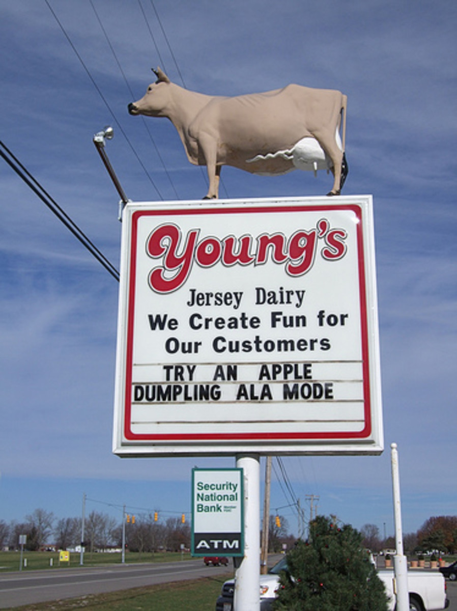 Young's Jersey Dairy Farm and Recreation Complex West Central Ohio