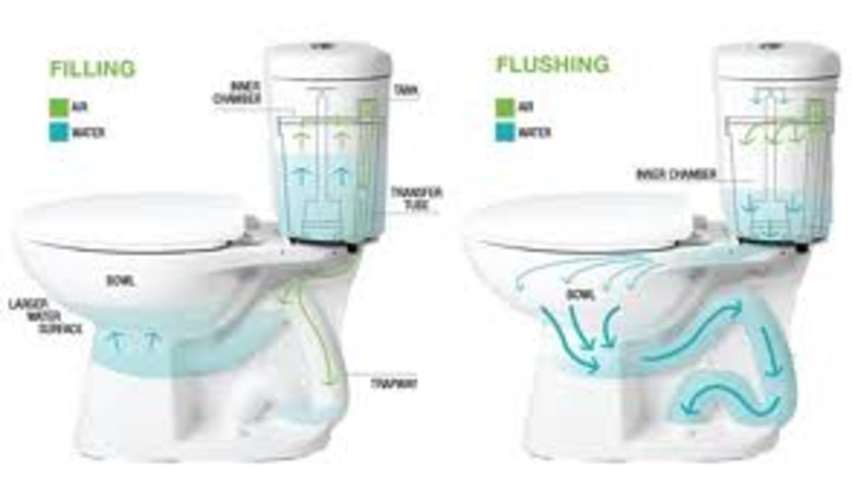 Toilet Anatomy 101: Your Toilet Parts and How They Work