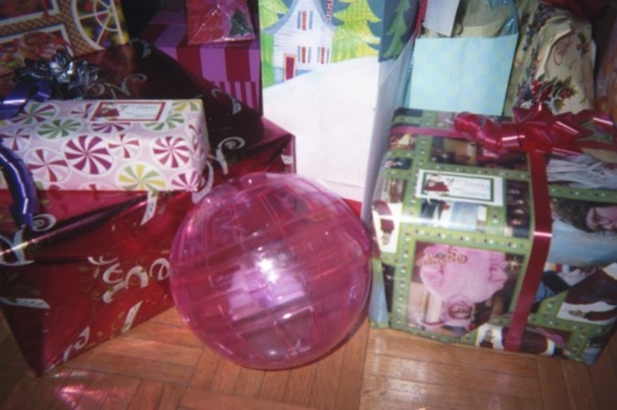 christmas-gifts-for-your-hamster