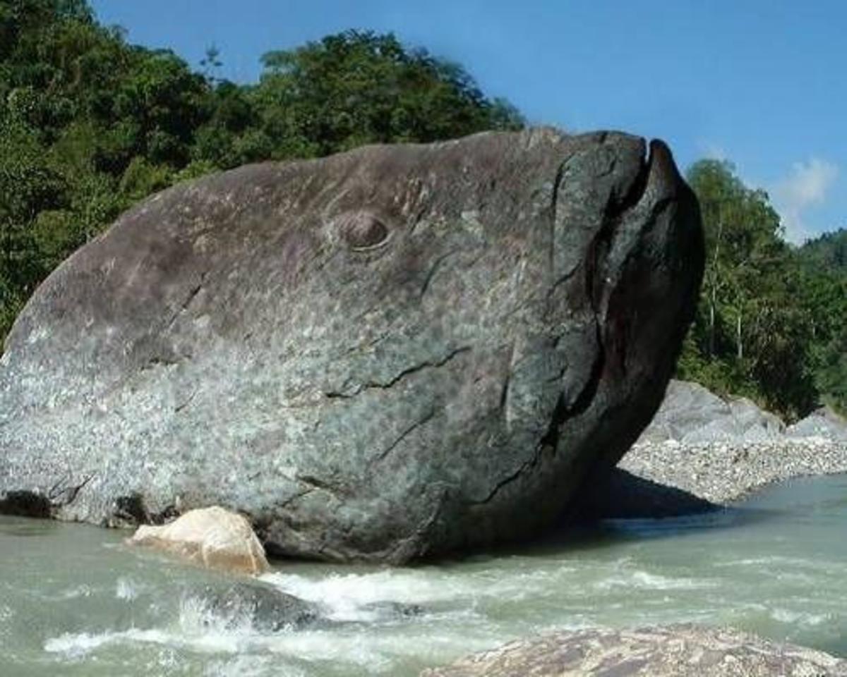 Fish rock