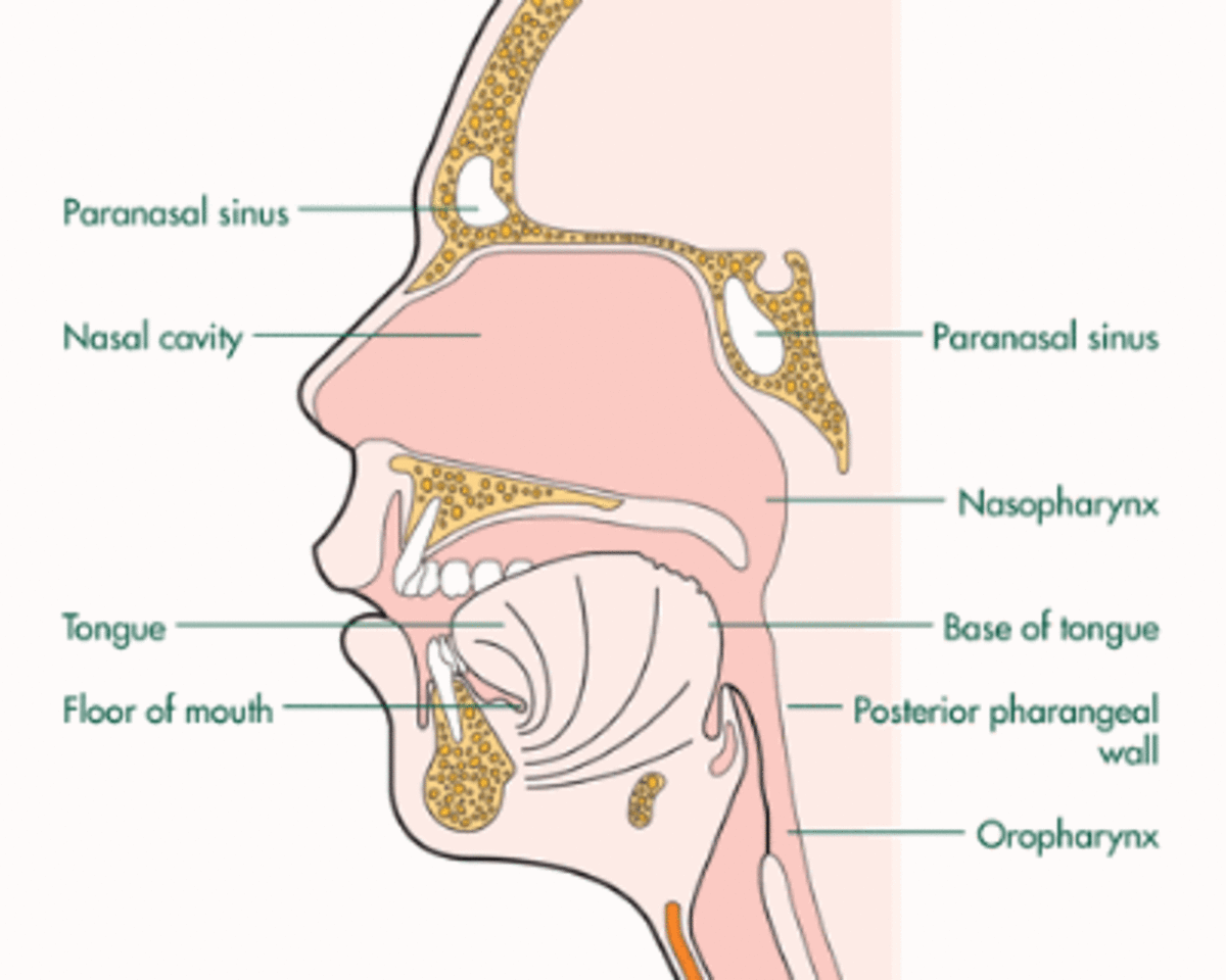 Throat cancer: Causes, symptoms and treatment of oropharyngeal cancer
