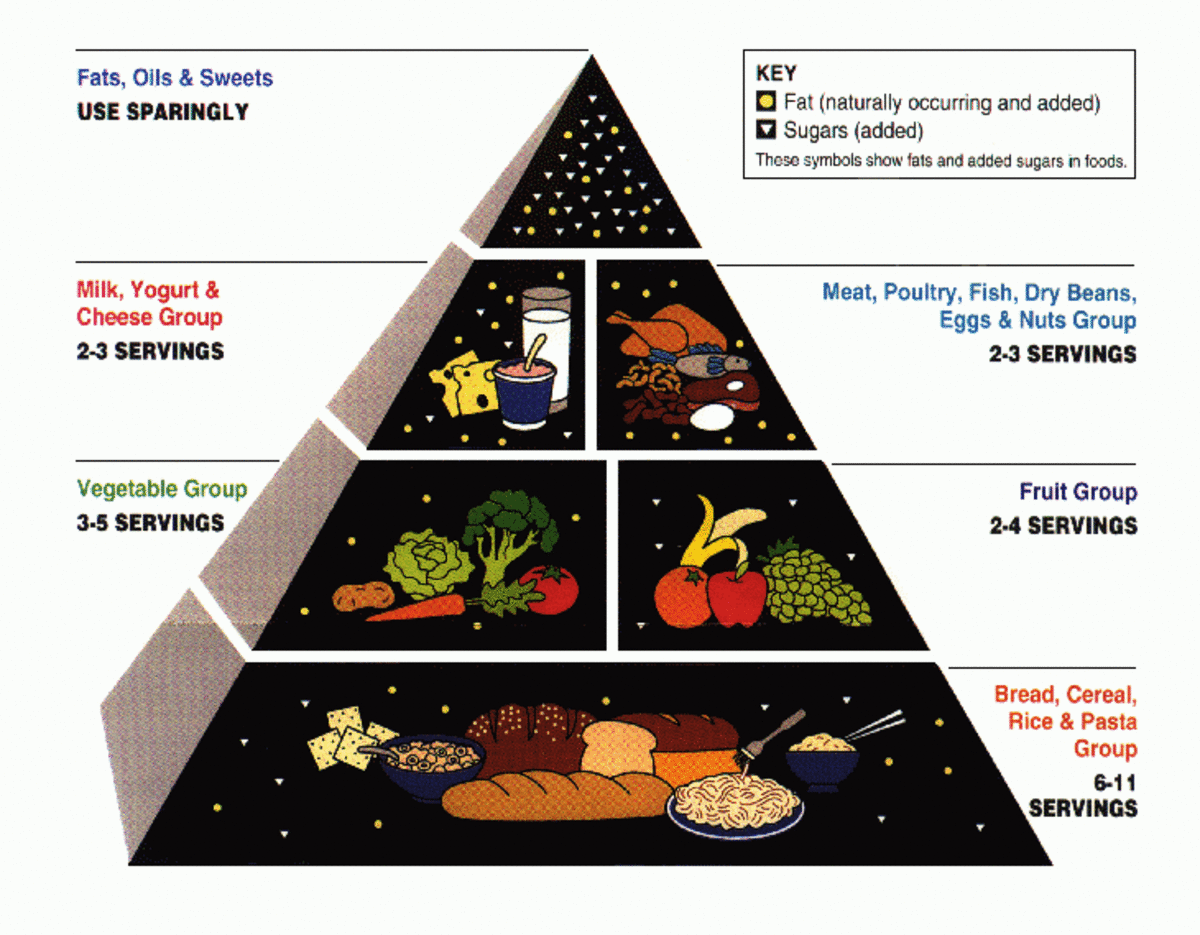 According to Dr. Abravanel, the food pyramid puts too much emphasis on carbohydrates for many body types