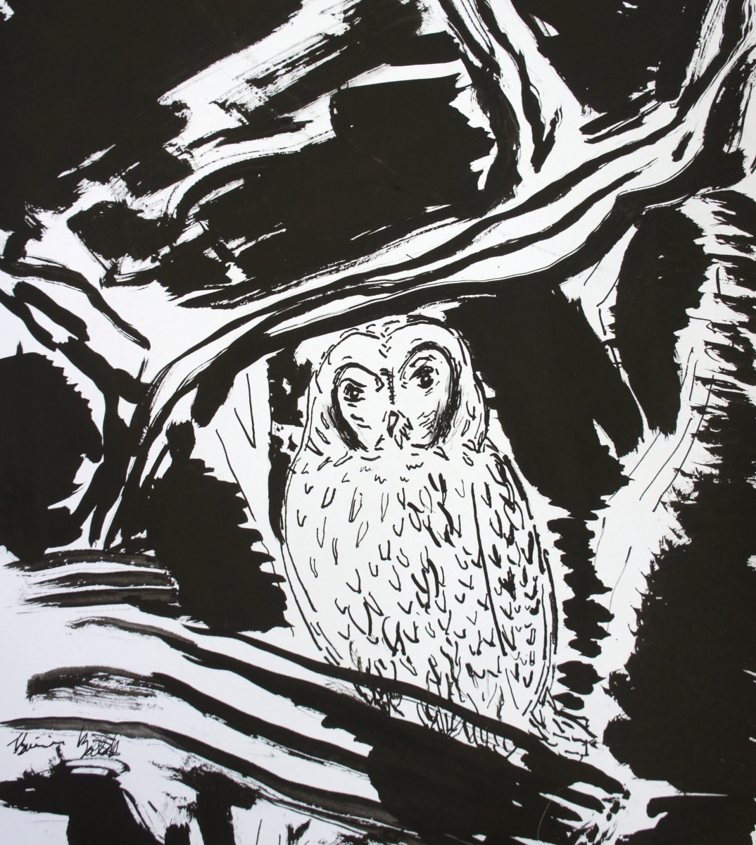 friday-morning-owl-suggests-slowing-down