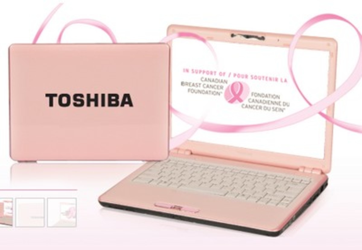 Toshiba Pink Laptop (Portege M800)