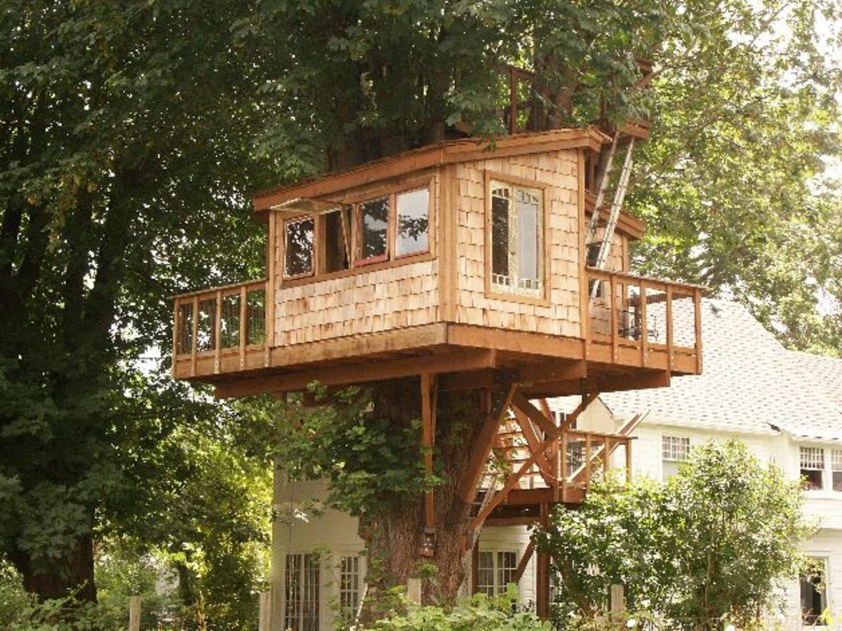 Building Your Own Treehouse
