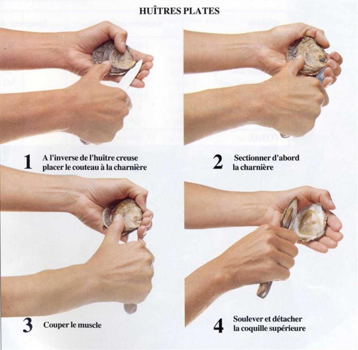 How to open an oyster