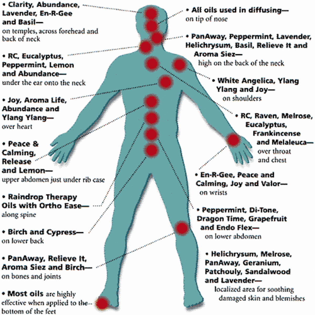 Diagram of Body for Various Essential Oils