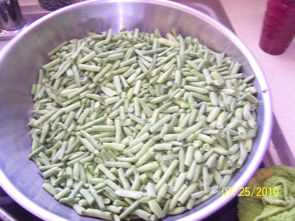 This is a pan of beans that have been prepared for the canning process. The beans are "strung" and broken into sections with no more than one bean. This makes them easier to eat. This pan holds enough for 7-8 quart jars.