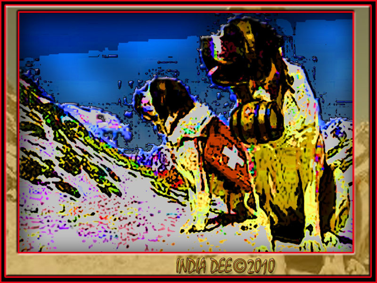 How Do Dogs Process Information HubPages