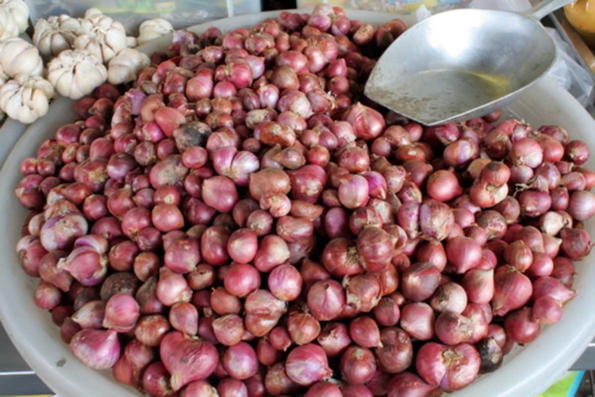 Asian Shallots. Image:  Chubbster|Shutterstock.com