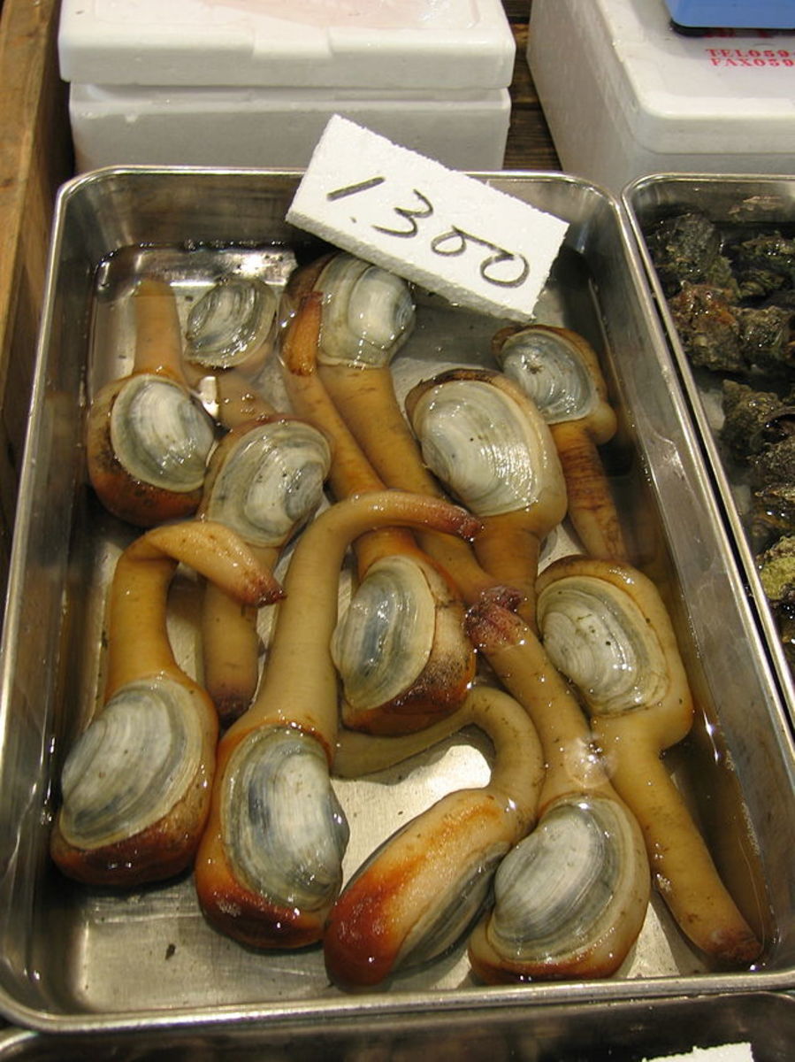 For sale in a Tokyo fish market.
