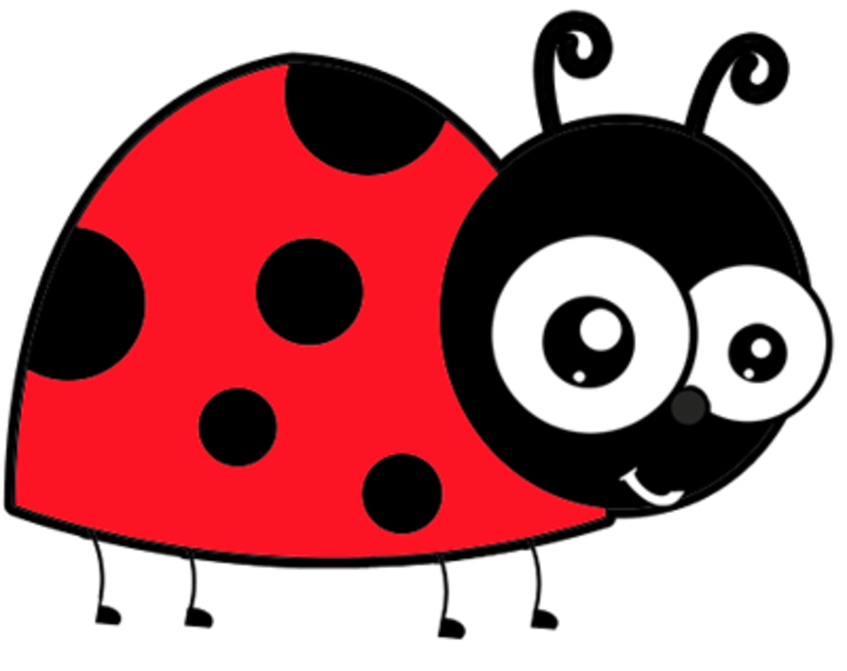 ladybug-party