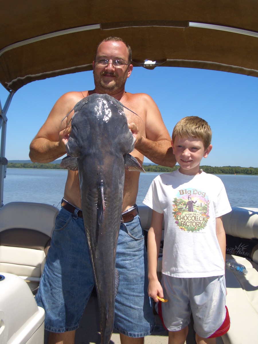 37 pound blue cat, Labor Day 2012  Weiss Lake