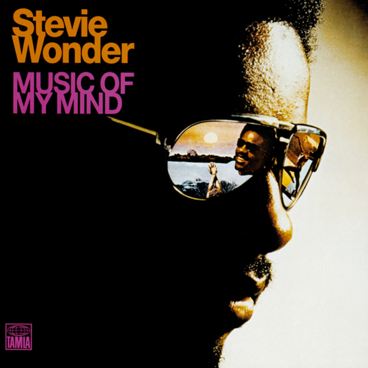 Steveland Morris aka Stevie Wonder.  Looking so cool and introspective on this cover.  Looking like he indeed has a lot on his mind.  And I suppose that his vast catalog of music attests to that theory.