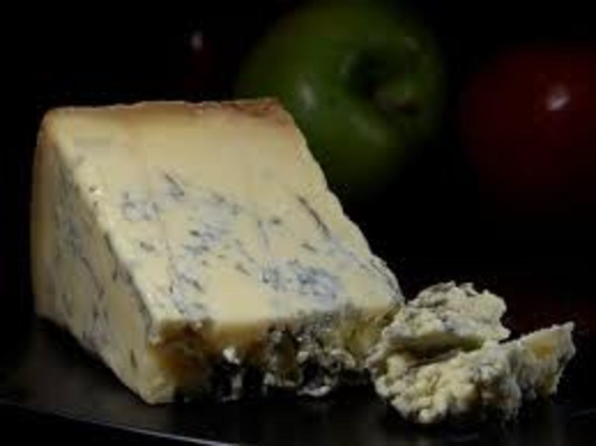 easy-homemade-cheese-guide-how-to-make-stilton-cheese