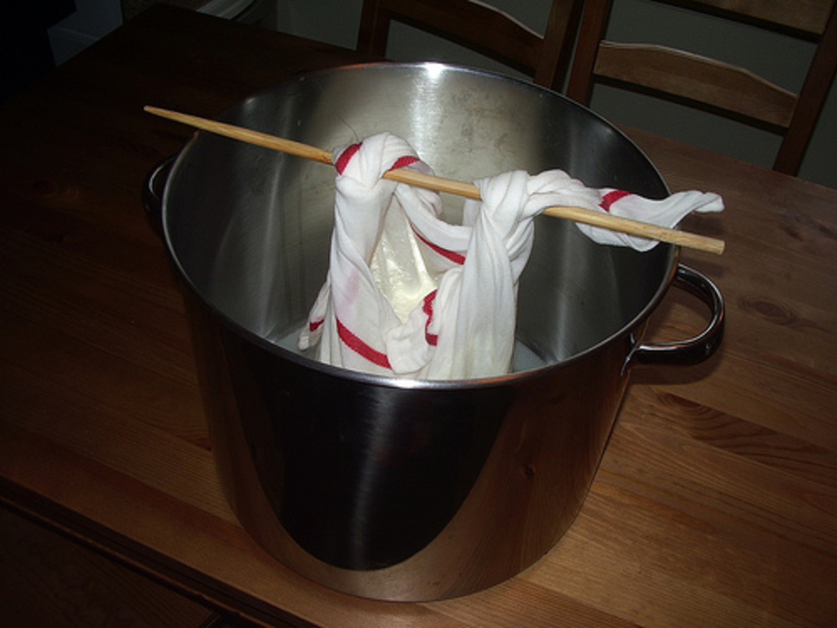 How to Make Stilton Cheese at Home HubPages