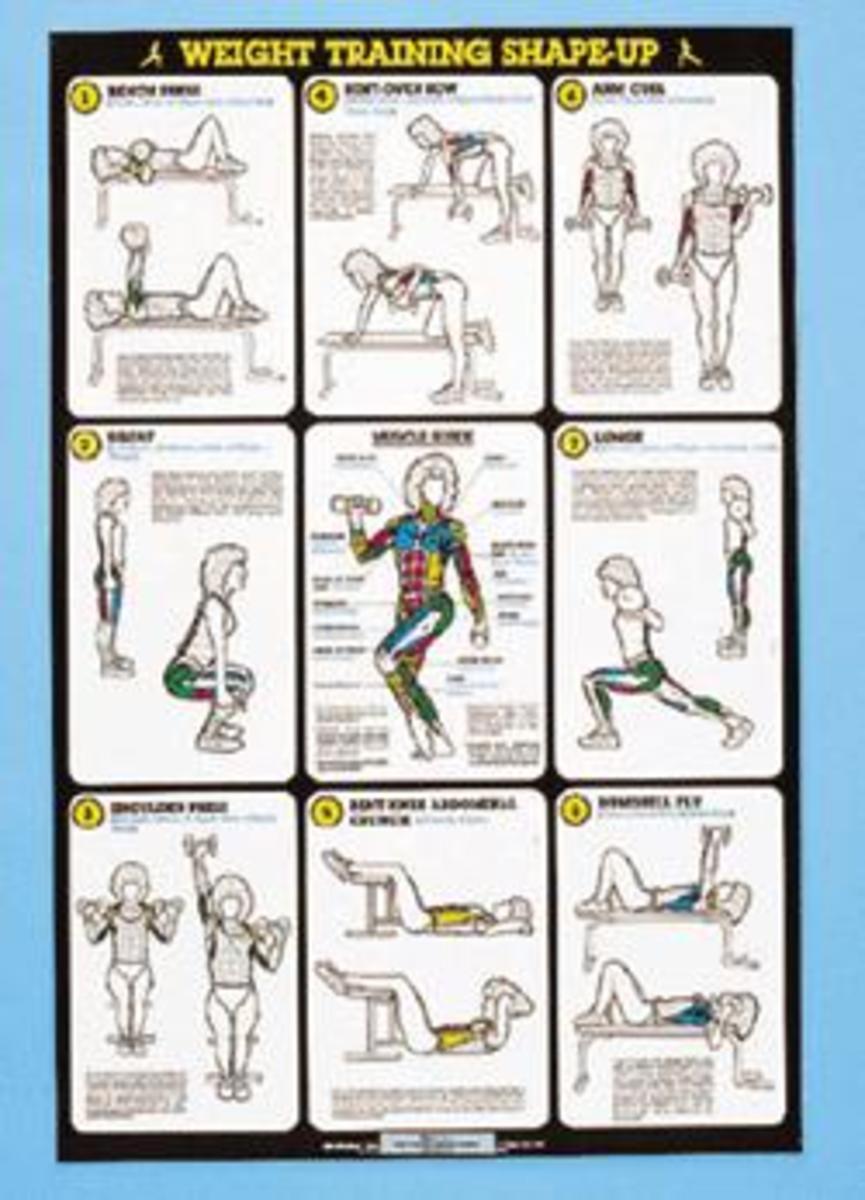 Weight Training Exercise Posters Shape Up