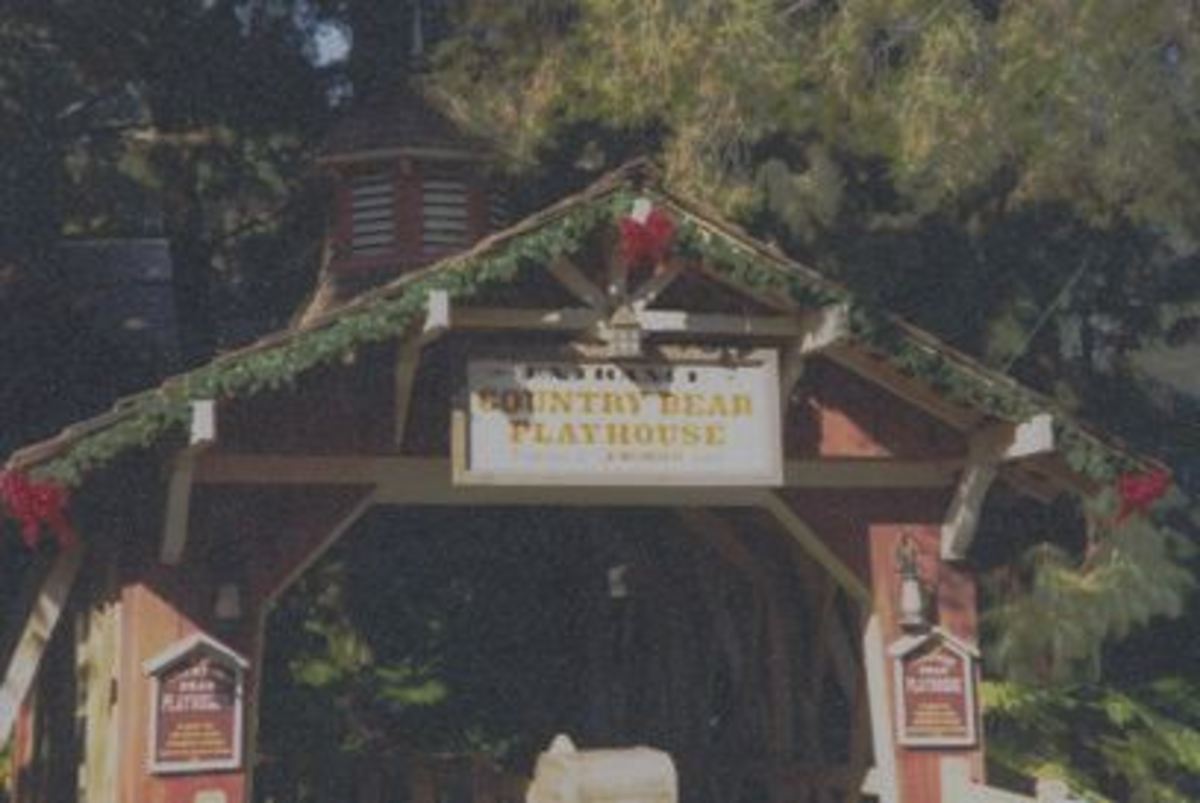 top-5-extinct-or-retired-disney-attractions-i-miss-most-3-country-bear-jamboree