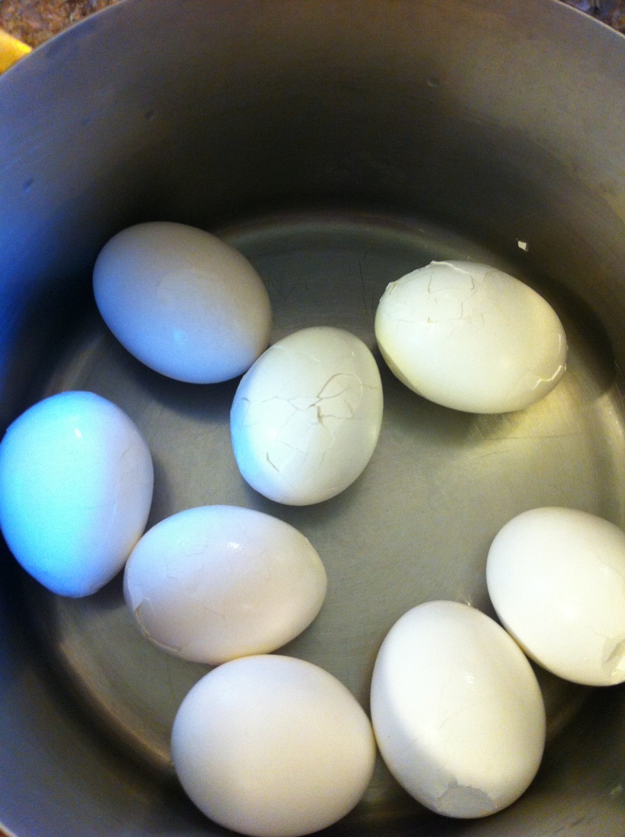 how-to-boil-an-egg