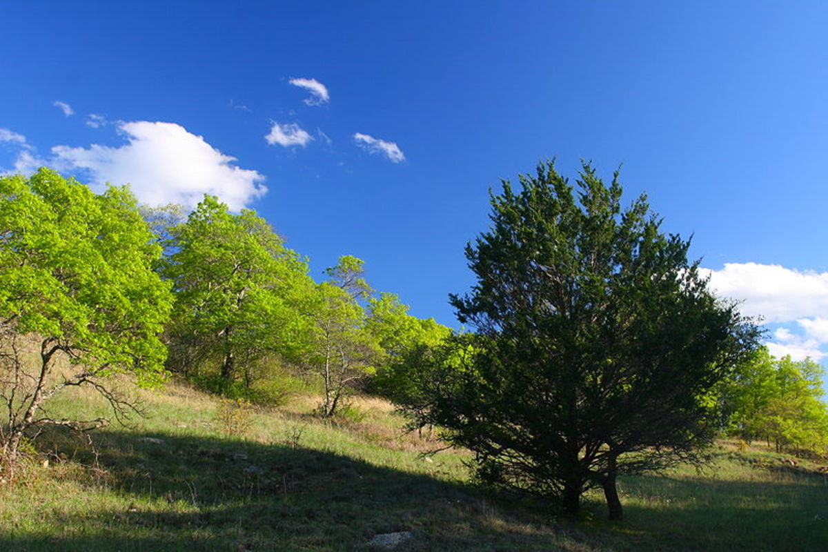 Prairies USA The National Grasslands of America's Heartland HubPages