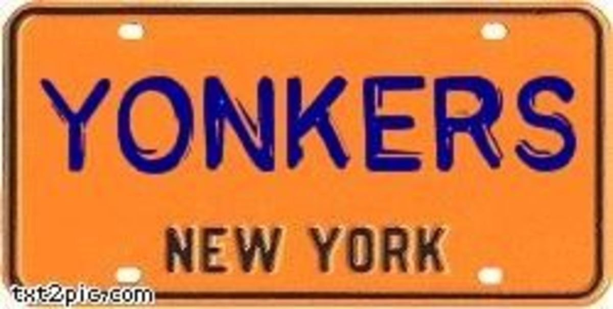 Old NY License Plate