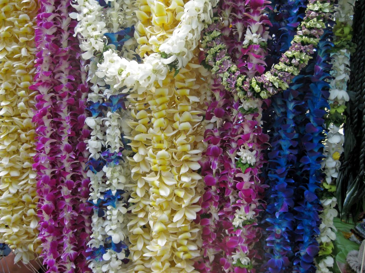 Make A Hawaiian Lei Flower Necklace Best Flower Site