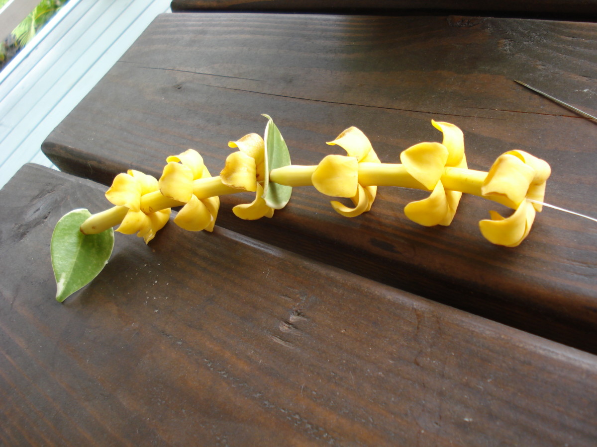 How to Make a Flower Lei HubPages