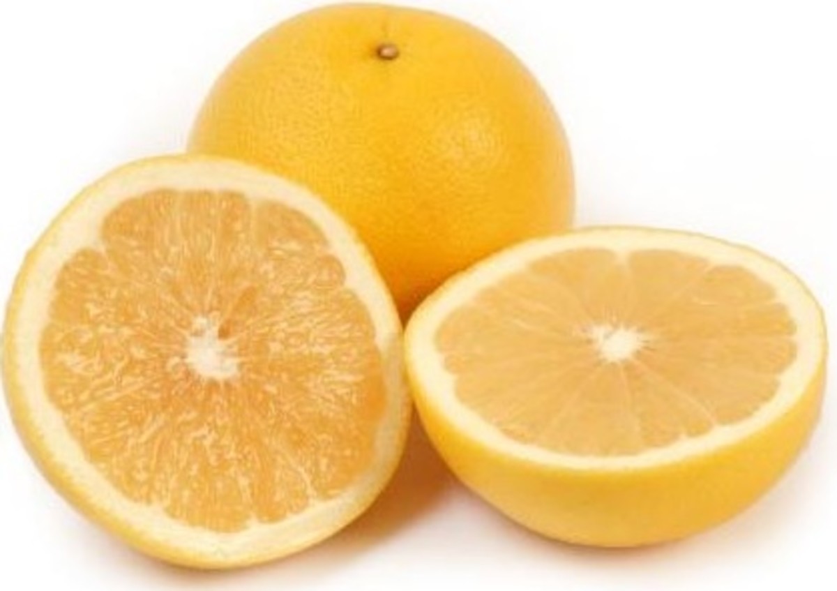 Does Lipoflavonoid Work for Tinnitus? HubPages